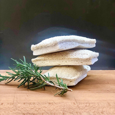 Natural Loofah Cellulose Sponges (Pack of 3) | Eco Cleaning