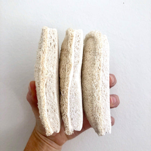 Natural Loofah Cellulose Sponges (Pack of 3) | Eco Cleaning