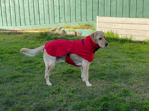 Pet Dog Raincoat Poncho Jacket Windbreaker Waterproof Clothes with Harness Hole-XL-Red