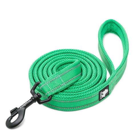 Reflective Pet Leash 2 meters Green M