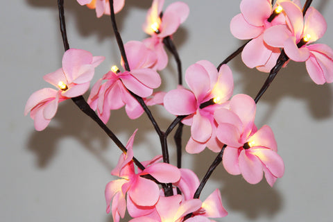 1 Set of 50cm H 20 LED Pink Frangipani Tree Branch Stem Fairy Light Wedding Event Party Function Table Vase Centrepiece Decoration Girl Bedroom